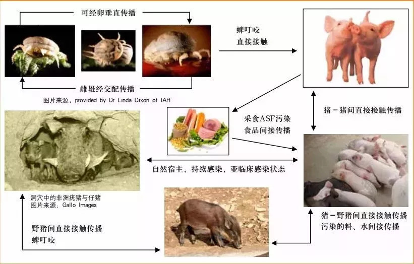 圖片11.png