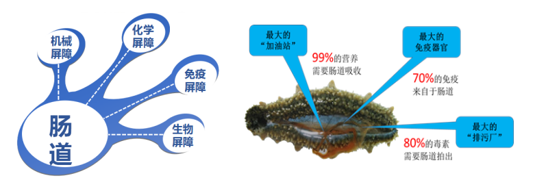 微信圖片_20181204142311.png