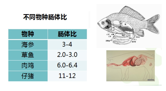 微信圖片_20181204142337.png