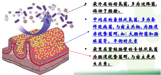 圖片8.png