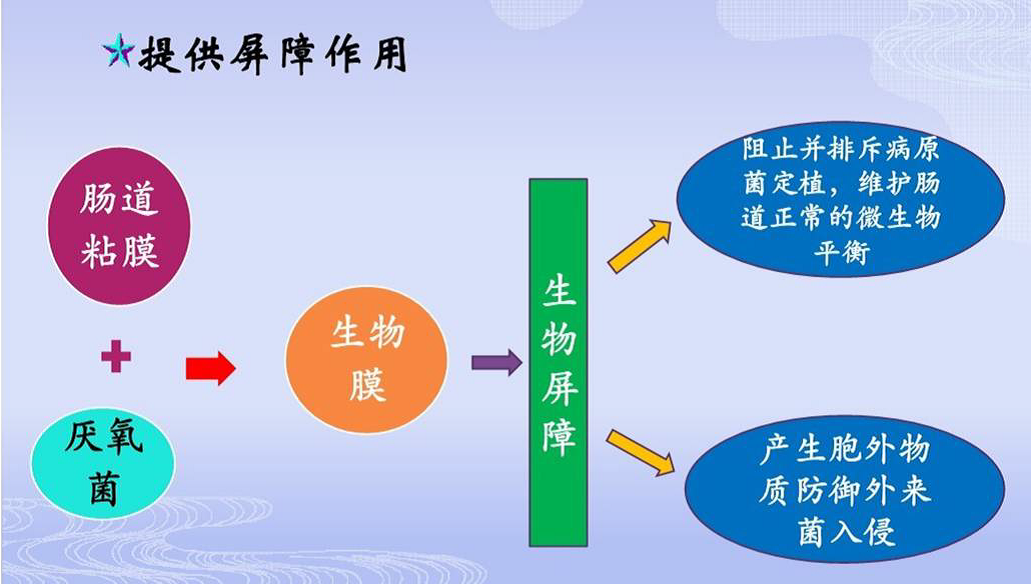 圖片9.png