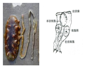 微信圖片_20181204142544.png