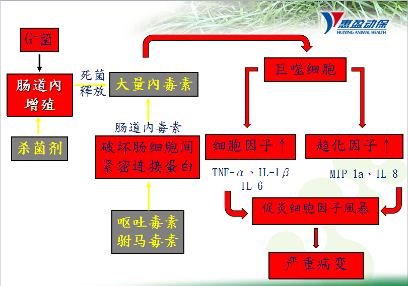 圖片18.png