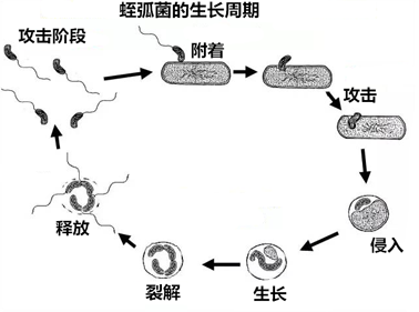 圖片11.png