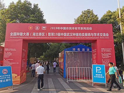 1570501310159613.jpg 1.jpg