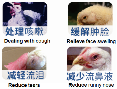 威利可.png